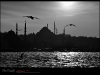 Siyah-Beyaz